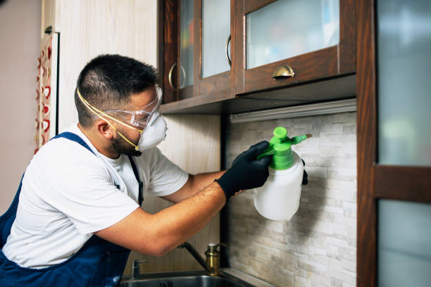Best Exterminator Services  in Barry, IL