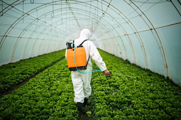 Best Affordable Pest Control Services  in Barry, IL
