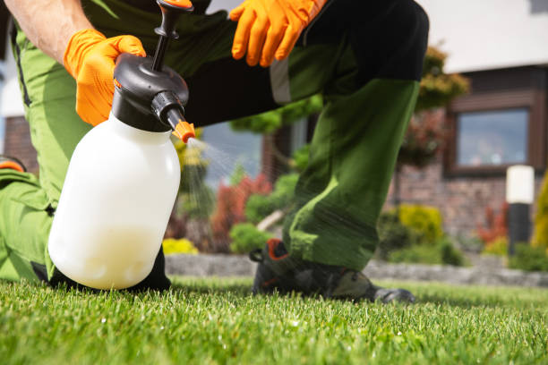 Best Flea Control Services  in Barry, IL