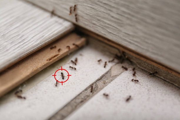 Best Pest Control Cost  in Barry, IL