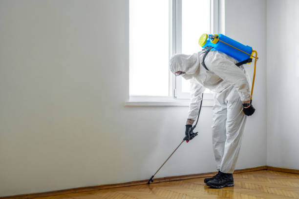 Best Wildlife Control Services  in Barry, IL