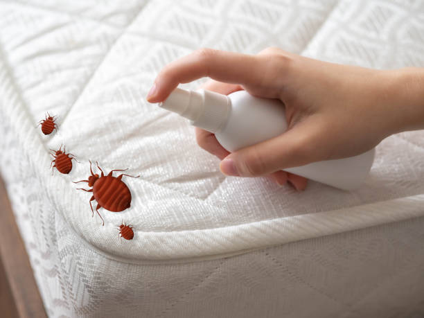 Best Best Pest Control Companies  in Barry, IL