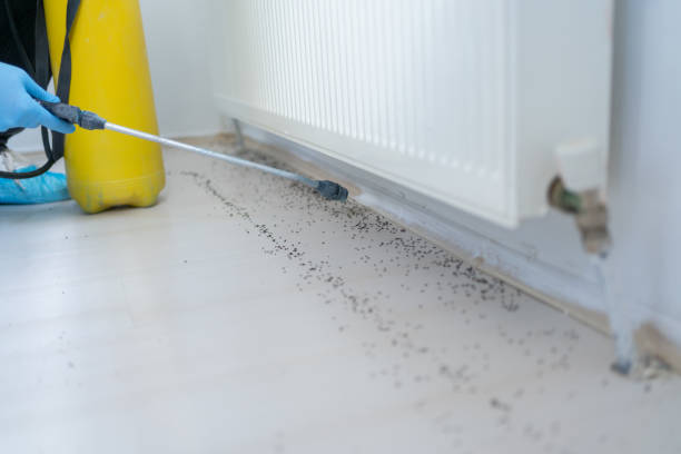 Best Cockroach Control Services  in Barry, IL