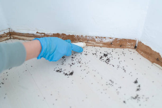 Best Commercial Pest Control Services  in Barry, IL