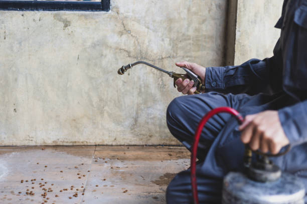 Best Emergency Pest Control  in Barry, IL