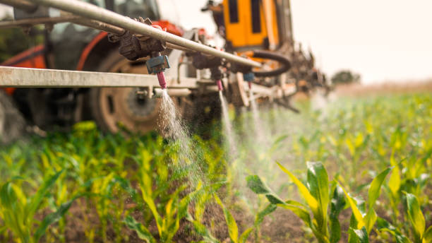 Reliable Barry, IL Pest Control Solutions